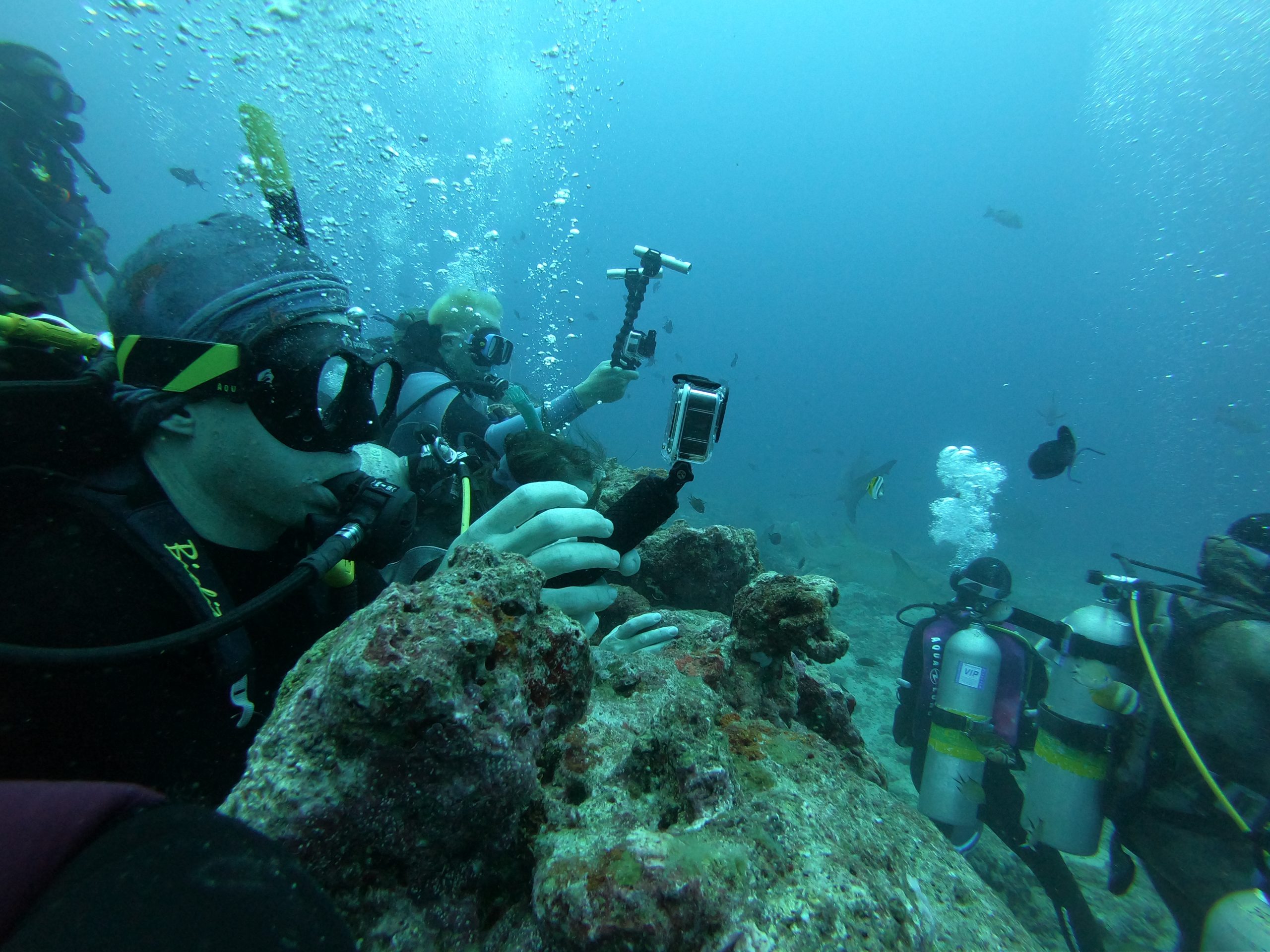DCIM100GOPROGOPR5197.JPG